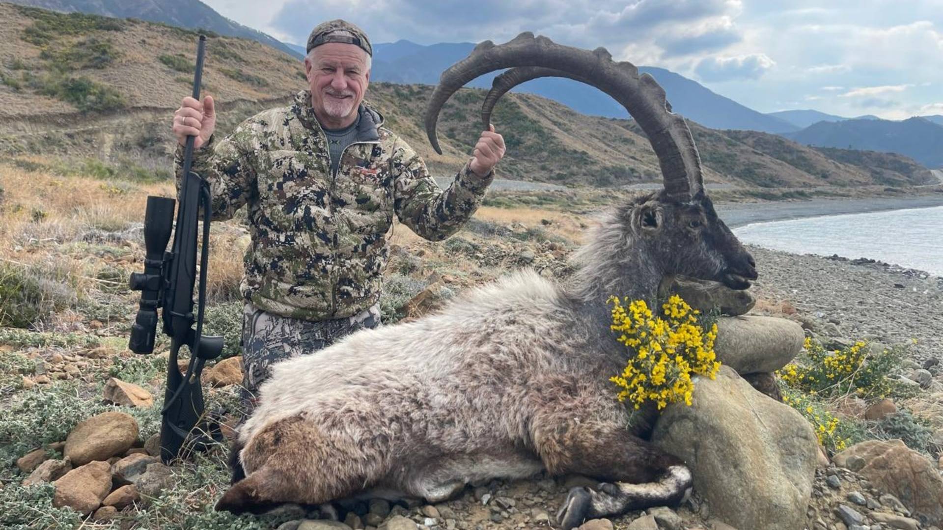 Охотничья сказка. Гибридный и Прибрежный Безоаровые козероги.-  Hybrid And Coastal Bezoar Ibex.