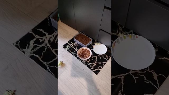 Друзья , помогите пожалуйста собрать на корма пушистым ! Нашему мини приюту  ! 🙏🙏🙏 🆘🆘🆘🆘🆘🆘🆘🆘🆘🆘🆘