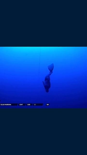 Рекорд по фридайвингу #фридайвинг #рекорд #спорт #freediving #дыхание #diving #глубина