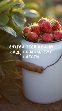 Пауза ⏸️