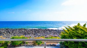 Oceanfront Dream Home