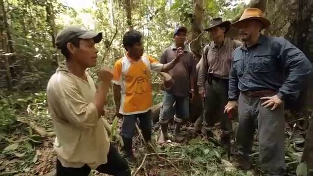 New Documentary Features Warner Expedition смотреть онлайн