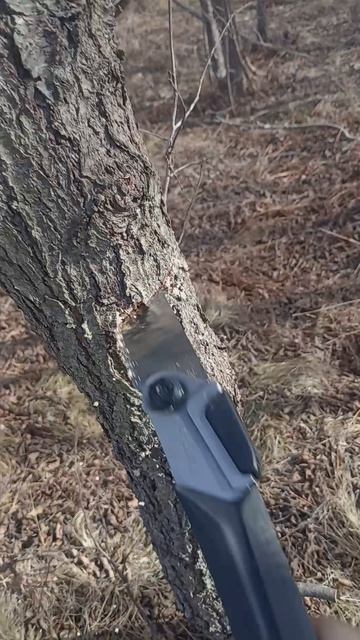 Проба пилы TAJIMA на легкой породе смотреть онлайн