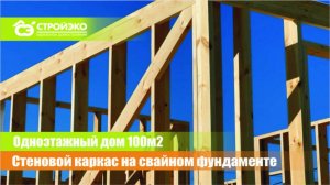Надежный каркас дома 100v2 d г.Муроме, Владимирская область