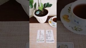 ЧЕМ ОТЛИЧАЮТСЯ ТУЗ ЖЕЗЛОВ И ТУЗ МЕЧЕЙ?