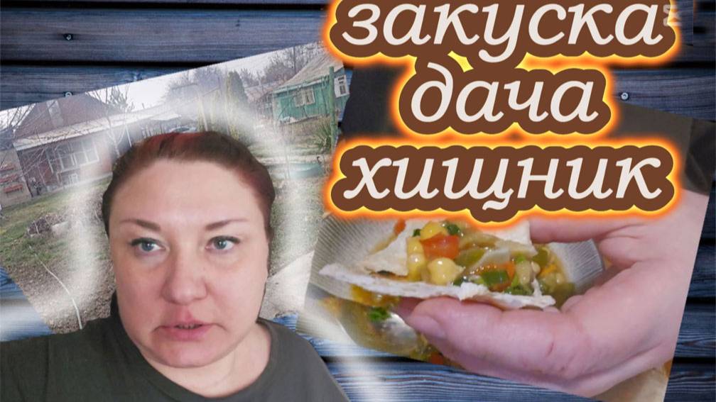 49-25! VLOG/ЗАЩИТА ДЛЯ АРЧИКА/РЕЦЕПТ САЛАТА-ЗАКУСКА И ЛАВАША/БАРДАК НА ДАЧЕ/ХИЩНИК ВО ДВОРЕ