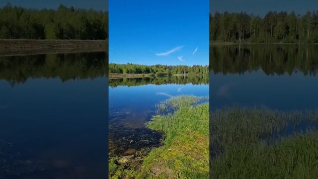 Счастье самогонщика  #самогон #какгнатьсамогон #лайфхаки #брага #виски #домашниенапитки #shots