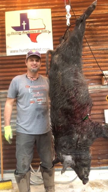 Wild Boar Bacon