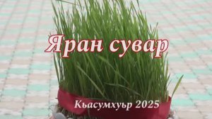 Яран сувар 2025
