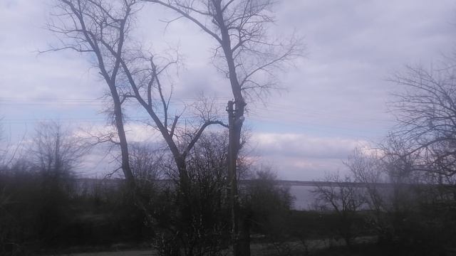 VID_20250323_142307