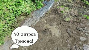 Очистка старой лагуны ТРИЮНОМ в Московской области