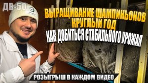 РЕКОРДЫ ПО ВЫРАЩИВАНИЮ | НЕ УСПЕВАЮ ЗА СБОРОМ | ДВ50