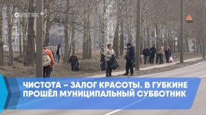 Чистота – залог красоты. В Губкине прошёл муниципальный субботник