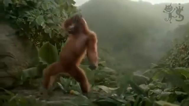 обезьяна танцует) смотреть онлайн
