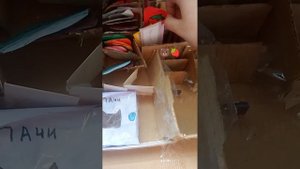 lv_0_20250325103124.mp4