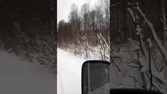 1000022810.mp4 Дорога в тайге.
