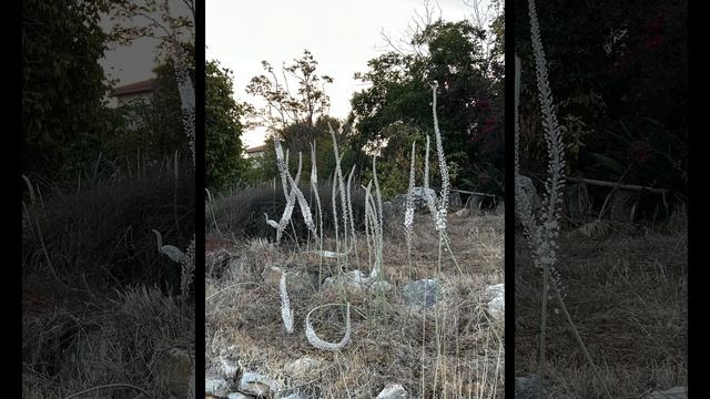 Untitled video смотреть онлайн