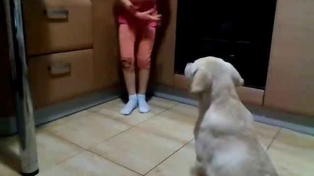 Соня и Пеппи смотреть онлайн