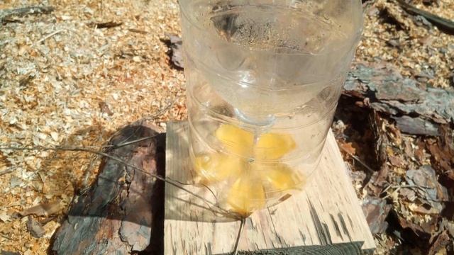 ОСИ!!!! На Пасіці смотреть онлайн