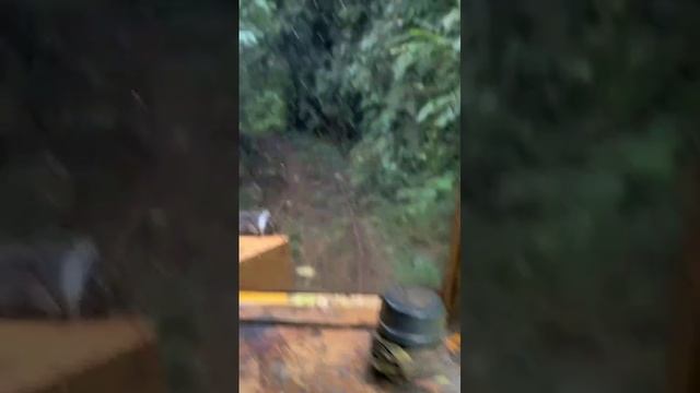 VID-20250326-WA0186