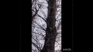 Мартовская прогулка под собственную музыку - A March walk with your own music