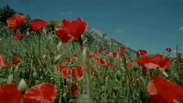 Разговоры от подписчиков №66 |Коллекторы |Банки |230 ФЗ| Антиколлектор| смотреть онлайн