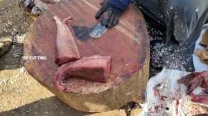 TUNA FISH CUTTING |CUTTING SKILL |IN KASIMEDU FISH MARKET |FF CUTTING 🔪🦈
