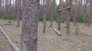 Спортзал в  Лесу Телеши.