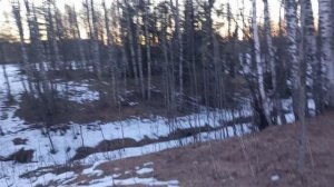 Вечерний выход с рг Тропка.