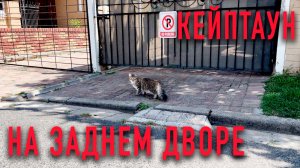 Задний двор 🇿🇦 Кейптаун