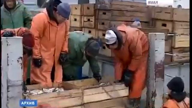 День рыбака шагает по Ямалу