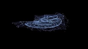 Про мозг женский