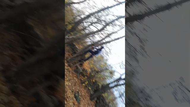 4 ноября 2023 г.