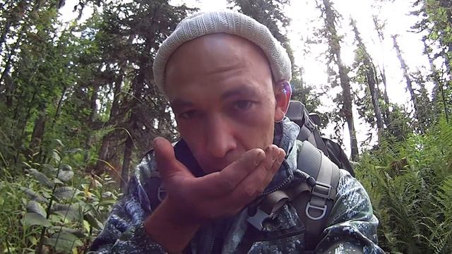 черника MAH00748 смотреть онлайн