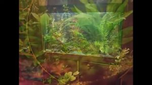Ремонт аквариумного светильника