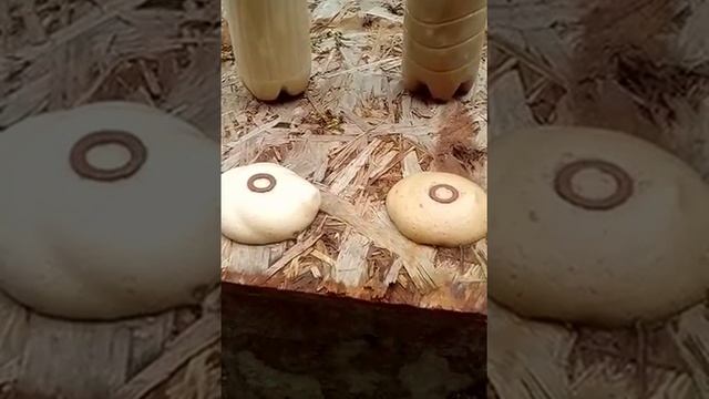 Белковый пенообразователь Livoton
