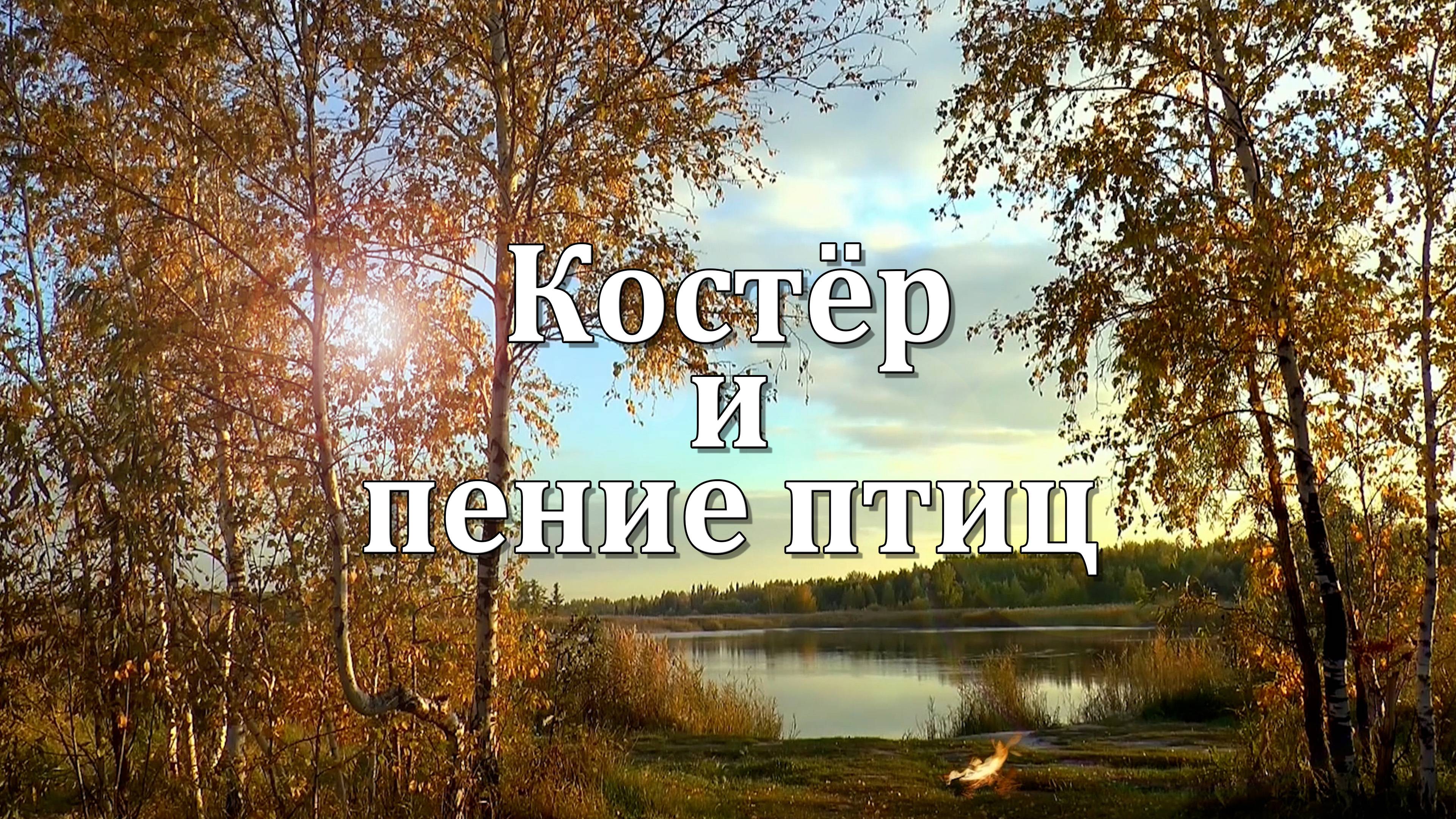 Костёр в Лесу и Пение Птиц | Звуки Природы для Сна, Медитации и Релаксации