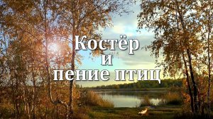 Костер в Лесу и Пение Птиц | Звуки Природы для Сна, Медитации и Расслабления 🏕️🕊️🏕️