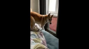 НА работу я сегодня не пойду.