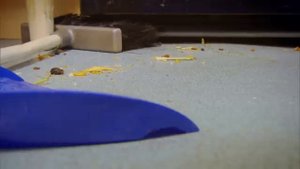 Filthy Garage Leaves Germaphobe Speechless! _ Obsessive Compulsive Cleaners _ Episode 10 _ Filth