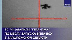 ВС РФ ударили "Геранями" по месту запуска БПЛА ВСУ в Запорожской области