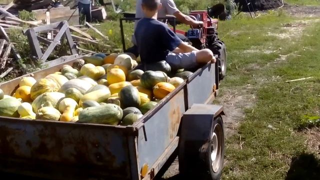 Дети на мотоблоке. смотреть онлайн