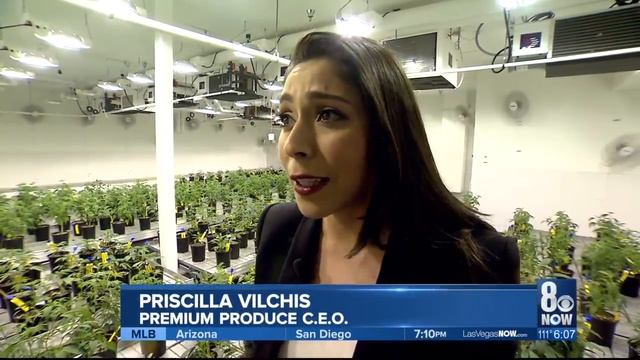 Marijuana dispensary owners seeing significant reinvestment back into businesses смотреть онлайн