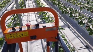 на тележке овощевода