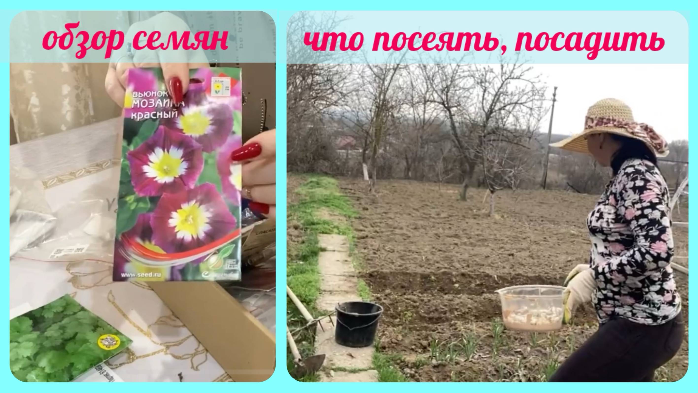 🏡ПОСАДИЛА, ПОСЕЯЛА ☘️ЧТО буду сажать В ОГОРОДЕ ✅ обзор- разбор семян ✅ будни домохозяйки _ домашний