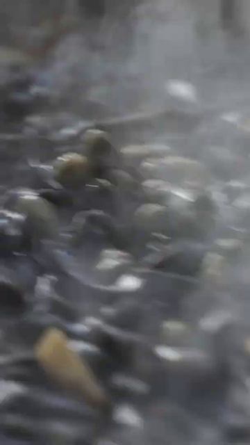 How To Make Squid Ink Pasta Part 2 | StoryBites Shorts смотреть онлайн