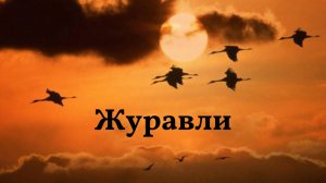 Журавли. Исполняет Фарит Бикбулатов. #песня #музыка #солдаты #журавли #память #песни военных лет