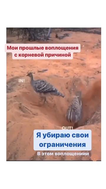 18 мая 2023 г. смотреть онлайн