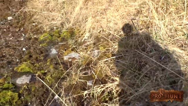 Ibex hunting in Kazakhstan смотреть онлайн