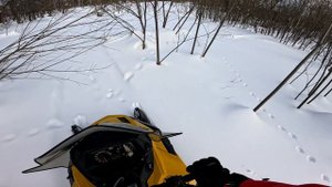 16.03.2025 г. Сахалин/Окончание сезона/
